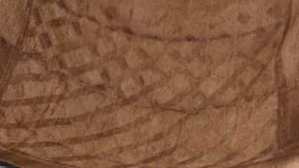 Siirt Tiftik Battaniyesinin ekonomik katkısı azaldı