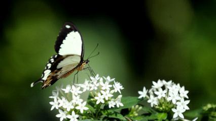 Adeta cennetten bir k&ouml;şe: Burayı g&ouml;rmeden Konya&rsquo;dan d&ouml;nmeyin