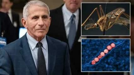 Fauci, Batı Nil virüsüne yakalandı