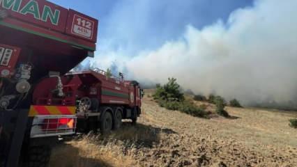 Kahramanmaraş’ta orman yangını
