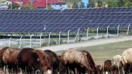 Köylerdeki sondajlı suyun maliyeti güneş enerjisiyle büyük oranda düştü