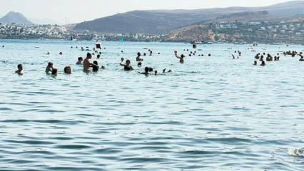 Muğla’ya gelen turist sayısında yüzde 8 artış