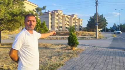 Sivas'ta ilginç görüntü! Kurt sokağa indi