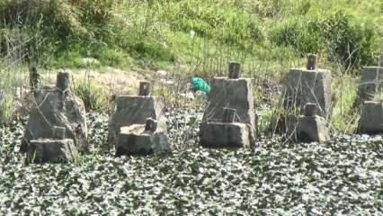 Su seviyesi düşen Büyükçekmece Baraj Gölü'nde tarihi Çakmak Hattı ortaya çıktı