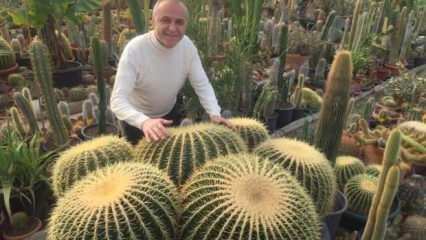 65 yaşındaki turizmciden ilgin&ccedil; koleksiyon