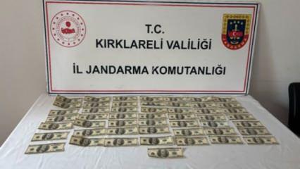 Kırklareli'nde ele geçirildi: Tam 5 bin dolar!