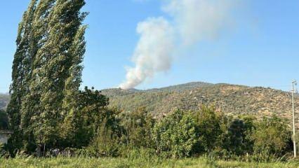 Muğla ve Bursa'da korkutan orman yangını