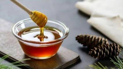 Doğu Karadeniz'den 8 ayda 11 &uuml;lkeye bal ihra&ccedil; edildi