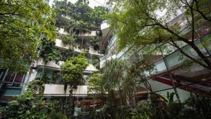 İklim krizi, doğru şehir planlamasının &ouml;nemini artırıyor