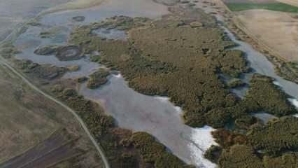 Konya'daki G&ouml;kg&ouml;l kurudu