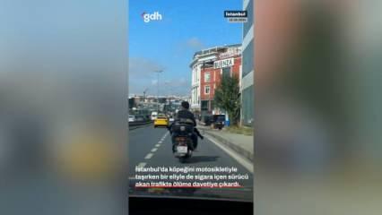 Köpeğini motosikletle taşıyan adam akan trafikte tehlikeli anların yaşanmasına neden oldu