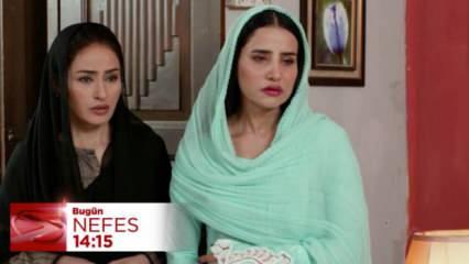 Nefes 48.bölüm fragmanı: Ujala, anne oluyor! Kiran, bedelini ödeyecek mi?