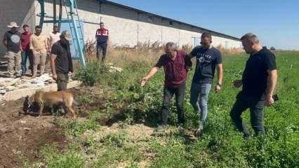 Öldürüp gömdüğü dayısının başında ağladı! Soranlara hacca gitti dedi...