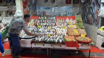 Tezgahlarda palamut bolluğu yaşanıyor, fiyatlar yarı yarıya d&uuml;şt&uuml;