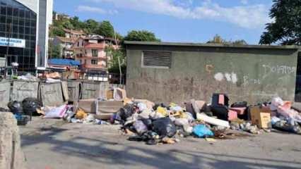 Burası Hindistan değil, Kocaeli'nin göbeği! 