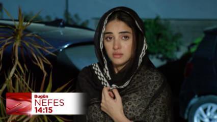 Nefes 50.bölüm fragmanı: Zarbab evleniyor! Kiran ailesini kazanabilecek mi?