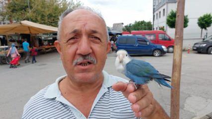 Omzundaki papağanı ile diyar diyar geziyor