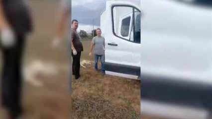 Tekirdağ'da başıboş köpekleri toplayan belediye ekibine tehdit kamerada!