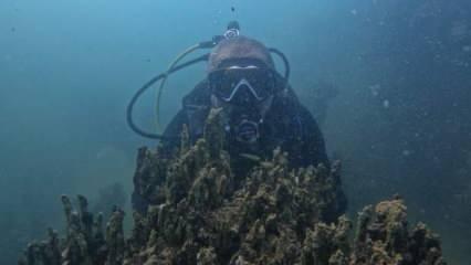 Van Gölü’nde bulundu! Tam 34,6 metre: Bugüne kadarki en uzun olanı…