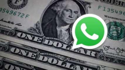 WhatsApp'a bomba özellik! Kullanıcılar artık para kazanacak