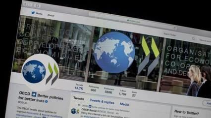 OECD, Türkiye büyüme tahminini açıkladı