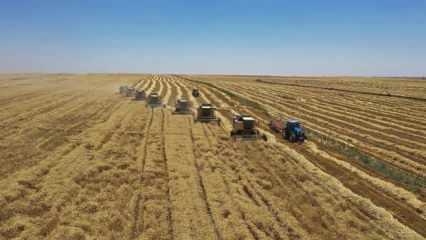 TARSİM, Çiftçi Buluşmaları toplantısına katıldı