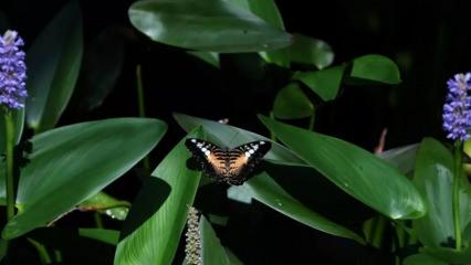 Adeta cennetten bir k&ouml;şe: Burayı g&ouml;rmeden Konya&rsquo;dan d&ouml;nmeyin