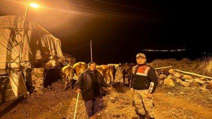 Hayvanlarını başıboş bırakan besiciler aman dikkat! 