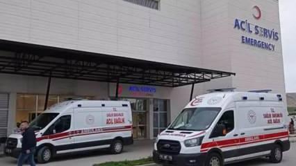 Armut toplarken yorgunun merminin isabet ettiği kadın, yaralandı