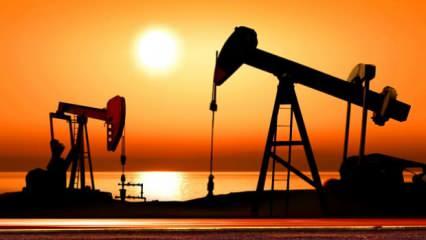 Bir ülkeden tarihi karar! Sürpriz petrol adımı! "Açıyoruz" deyip duyurdular