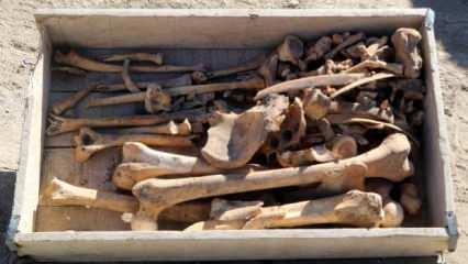 Burdur'daki Hacılar Höyüğü'nde 5 bin yıllık iskelet bulundu
