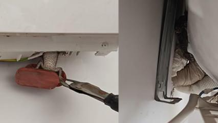 Evinin klimasında g&ouml;rd&uuml;, neye uğradığını şaşırdı! İtfaiye yakaladı