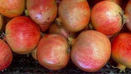 Ortaca'da nar ve limon ihracatında rekor beklentisi