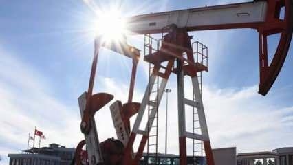 TPAO'ya Edirne'de bir saha için petrol arama ruhsatı verildi