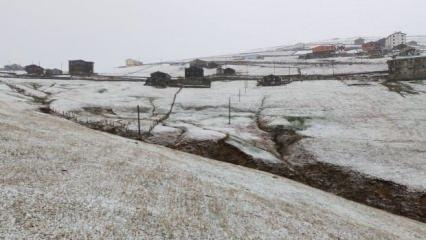 Trabzon yaylalarına yılın ilk karı düştü