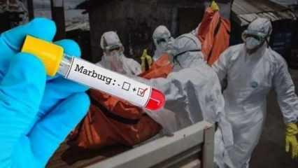 Yetkilileri harekete geçiren virüs! Tedavisi de aşısı da yok