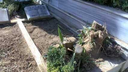 Adli Tıp a&ccedil;ıkladı: Mezar, Cem Garioğlu'na ait!