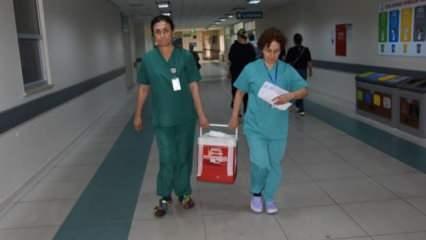 Beyin ölümü gerçekleşen sağlık çalışanının organları 4 kişiye umut oldu