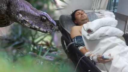 Dünyanın en zehirli yılanı zeytin toplayan adamı soktu