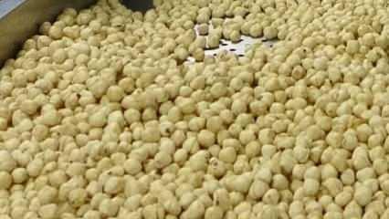 Fındıkta hasat ve kurutma bitti; kırma, kavurma ve paketleme dönemi başladı