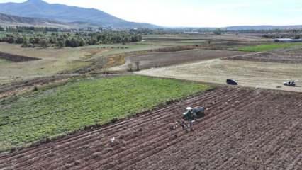 Patates ekim alanının 173 bin dekara ulaştığı Kayseri'de hummalı hasat mesaisi