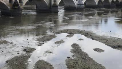 Tunca Nehri'nden içler acısı görüntüler!