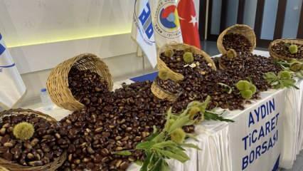 Aydın'da sezonun ilk kestaneleri kilogramı 500 liradan satıldı