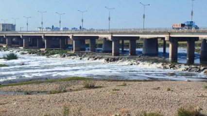 Dicle Nehri'nde korkutan görüntü! İnceleme başlatıldı