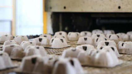 Kahve posasını karton ambalaj üretiminde kullanan firma maliyeti düşürdü