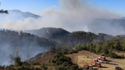 Muğla'nın 2 ilçesinde orman yangınlarına müdahale sürüyor