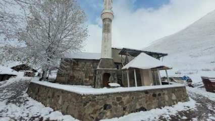 Rize'nin yüksek kesimlerinde kar yağışı!