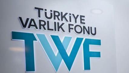 Türkiye Varlık Fonu'na devredilen 3 şirket tescillendi