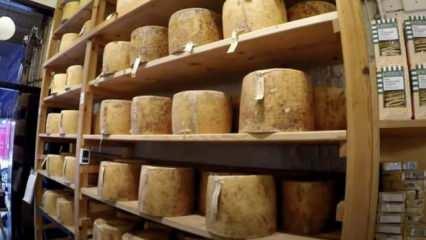 Dünyanın en pahalı peyniri! 390 bin dolar değerindeki cheddar çalındı