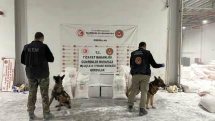 Gürbulak Sınır Kapısı'nda bitki köklerine gizlenmiş 4,5 ton metamfetamin yakaladı
